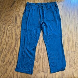 HH works by healing hands scrub Pants 1x xl